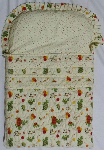 carry nest2